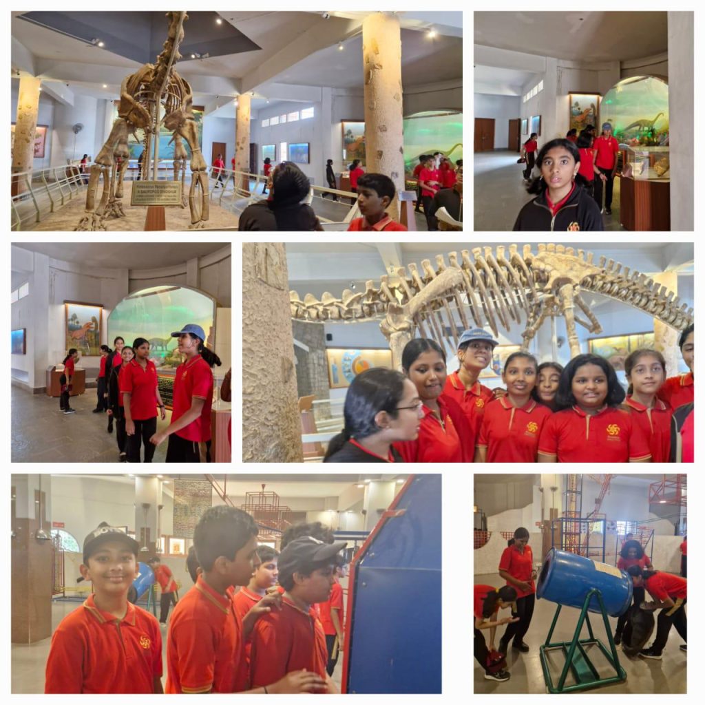 Whatsapp image 2025 07 12 at 11.17.42 (2)