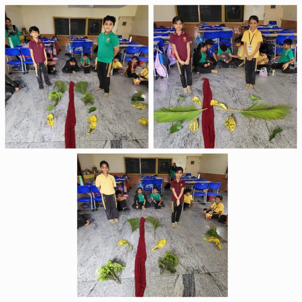 Whatsapp image 2025 07 16 at 09.24.43 (2)