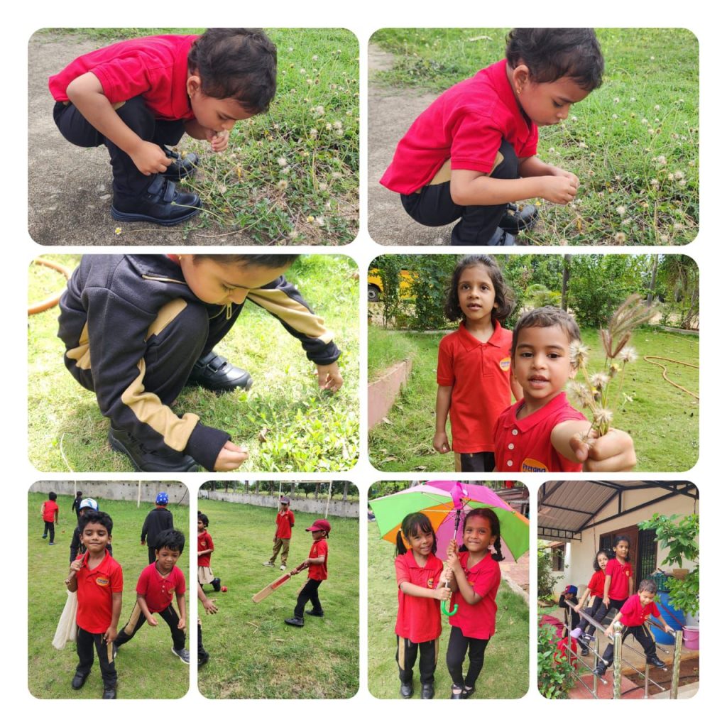 Whatsapp image 2025 07 19 at 12.21.53