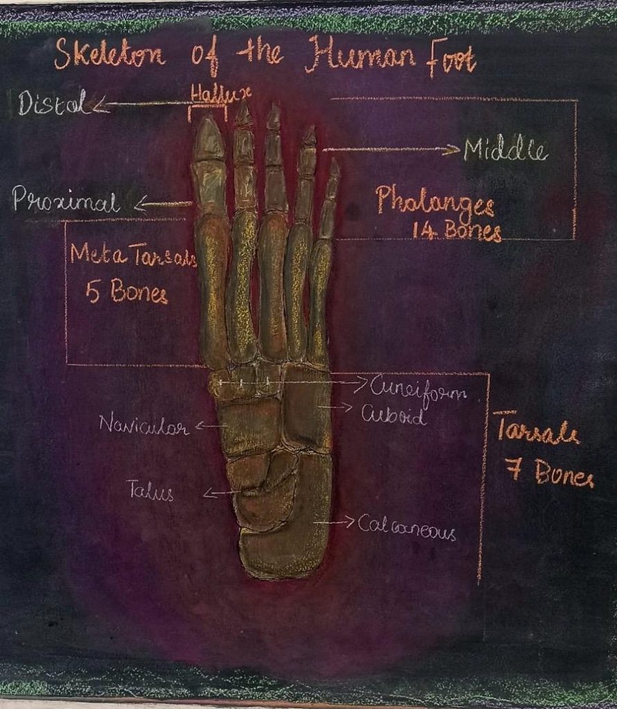 Whatsapp image 2025 10 30 at 12.33.44 (1)