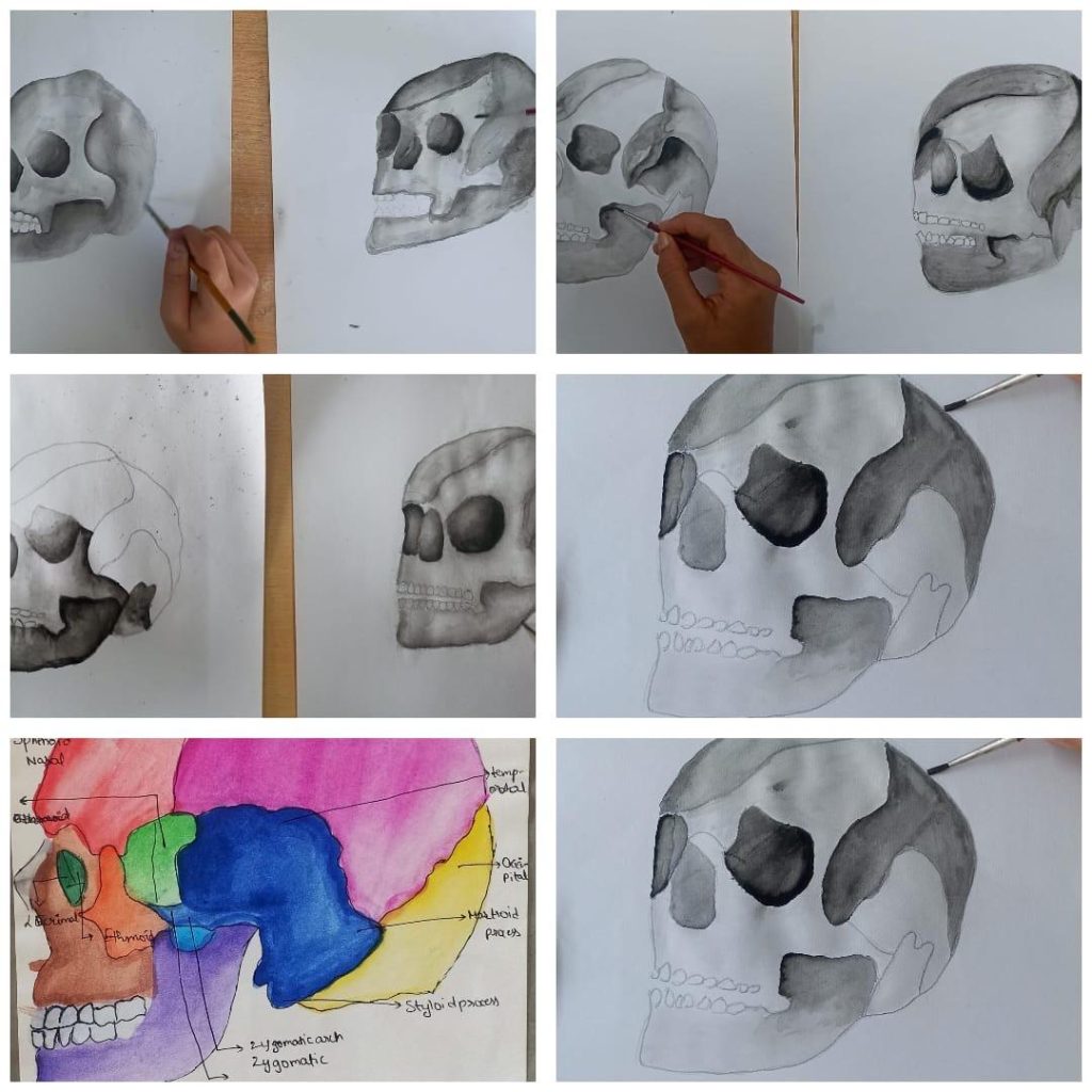 Whatsapp image 2025 10 30 at 12.33.44 (2)