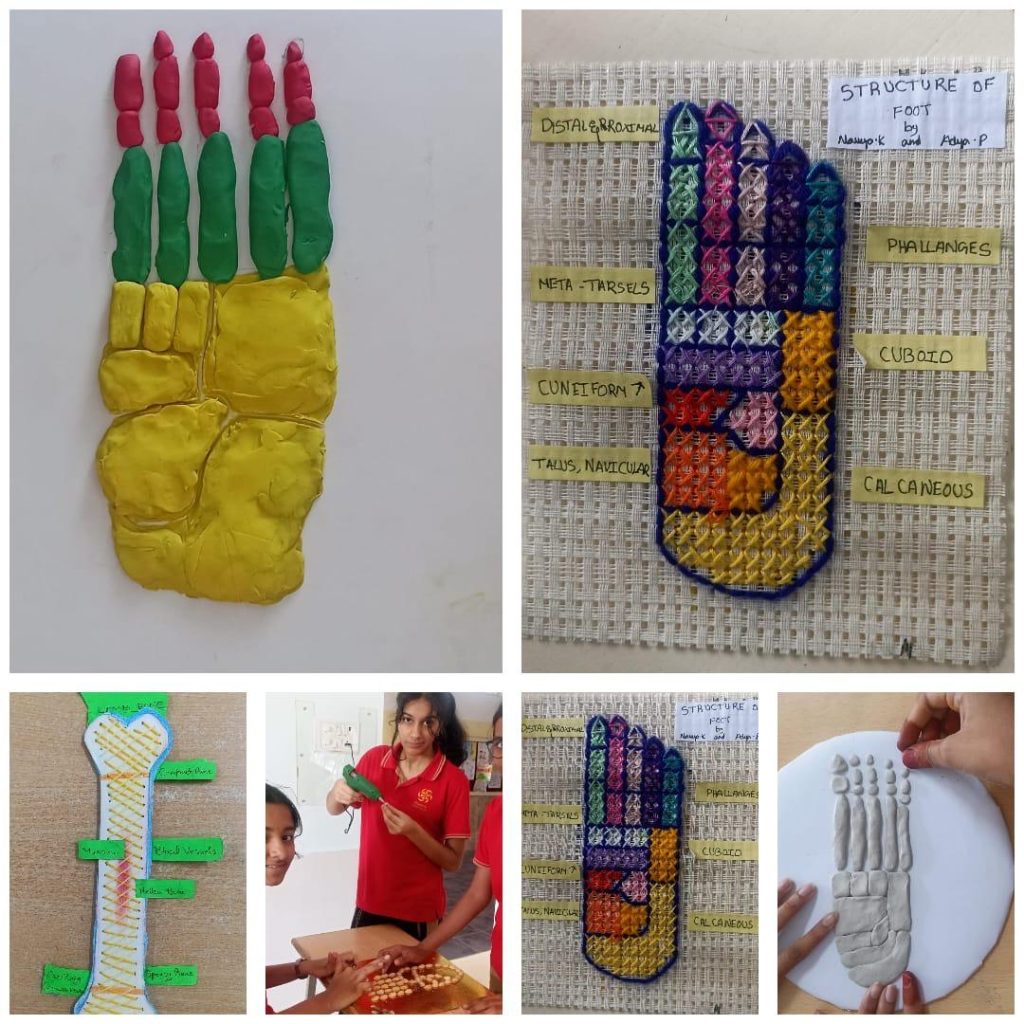 Whatsapp image 2025 10 30 at 12.33.44 (3)