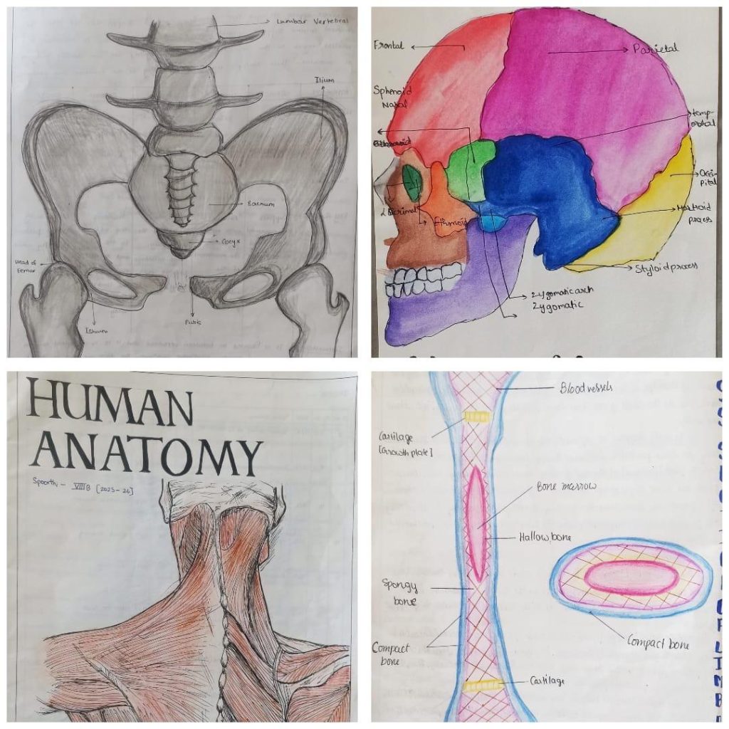 Whatsapp image 2025 10 30 at 12.33.44 (5)